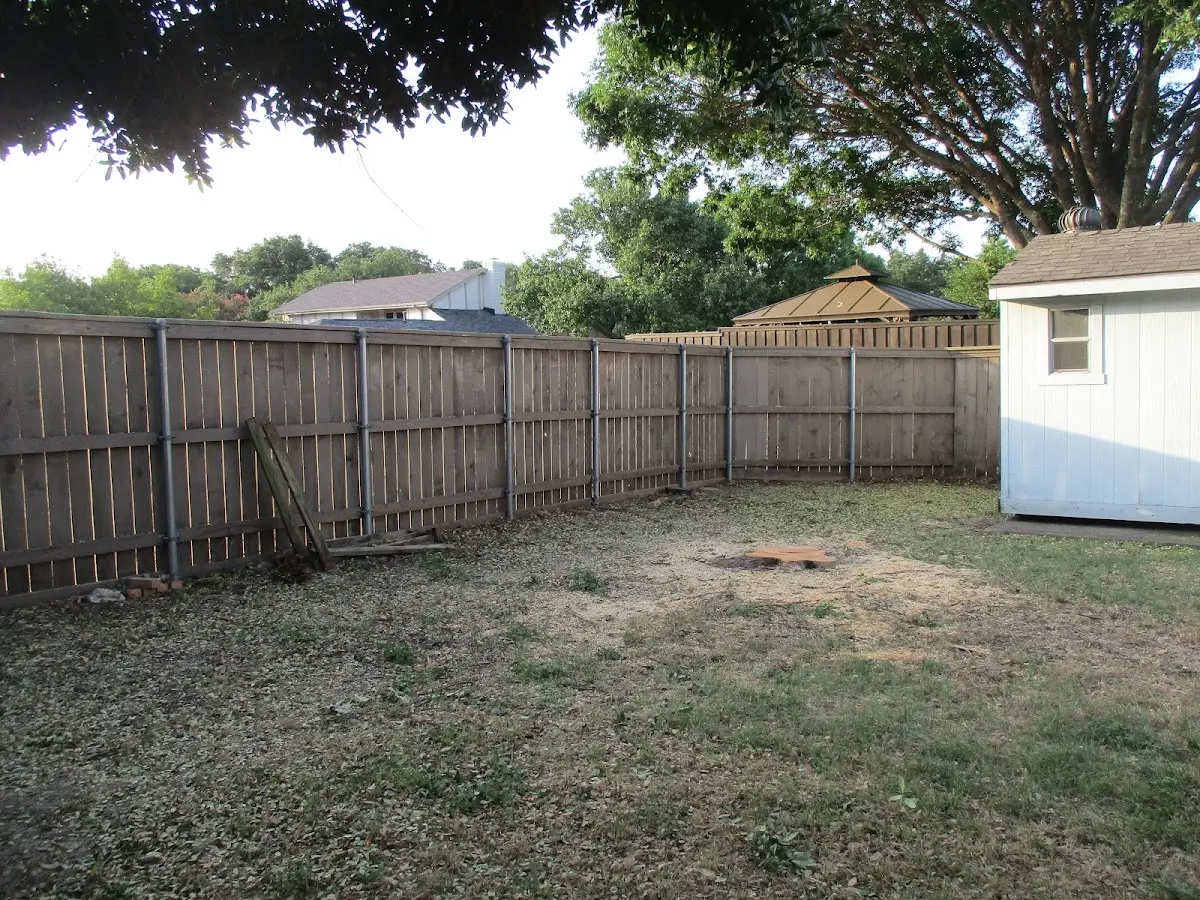 Cleared yard after professional tree removal in Jefferson City